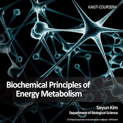 Biochemical Principles of Energy Metabolism