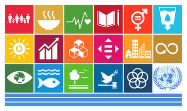 The UN Sustainable Development Goals: an Interdisciplinary Academic Introduction