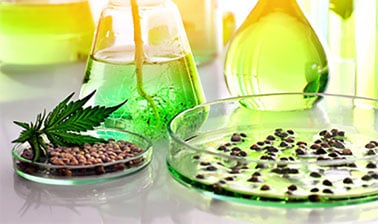 Cannabis Compliance, Testing, and Research
