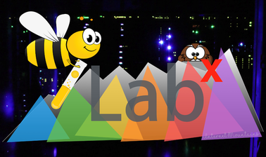 iLabX - The Internet Masterclass