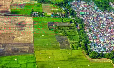 Food and Nutrition Security in Urbanising Landscapes