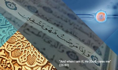 Islamic Bioethics