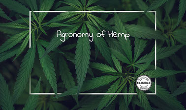 Principles of Hemp Cultivation