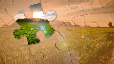 Sustainable Agri-food Supply Chain Management