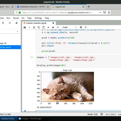 Custom Prediction Routine on Google AI Platform