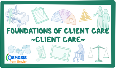 Foundations of Client Care 3: Client Care