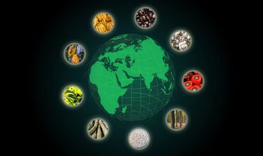 Sustainable Trade