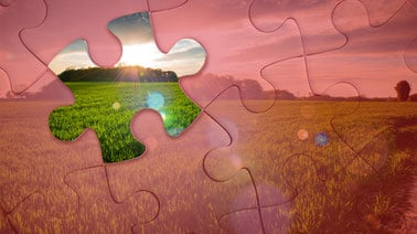 Environmental and Natural Resources Economics