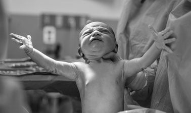 Human Reproduction