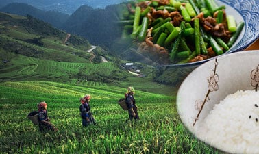 Sustainable Global Food Systems