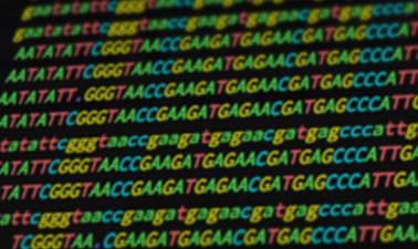 Case Studies in Functional Genomics