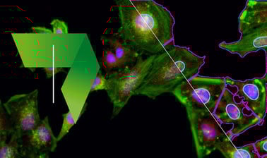 Image Processing and Analysis for Life Scientists