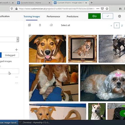 AutoML for Computer Vision with Microsoft Custom Vision