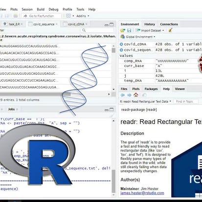 Reverse and complement nucleic acid sequences (DNA, RNA) using R