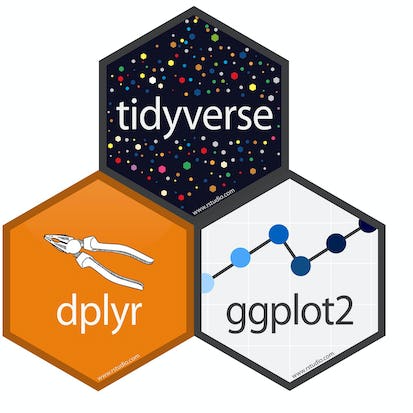 Data Visualization using dplyr and ggplot2 in R