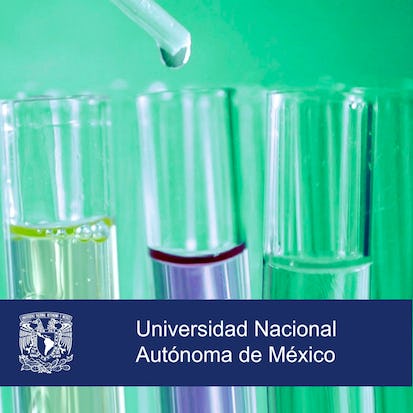 La química en la producción de alimentos y medicamentos