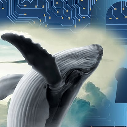 Implement a Docker Registry