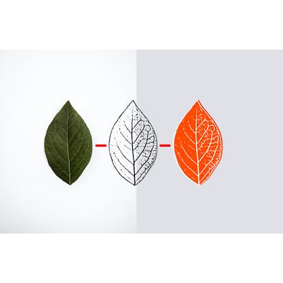 Make Any Image into a Vector Graphic with Inkscape