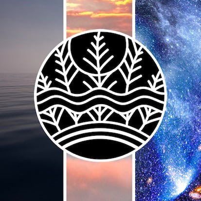 Mindfulness and Well-being