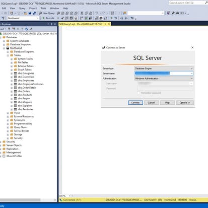 SQL for Beginners: Querying Data