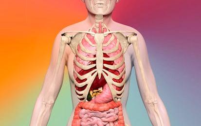 Biomedical Visualisation
