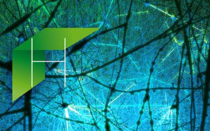 Simulating a Hippocampus Microcircuit
