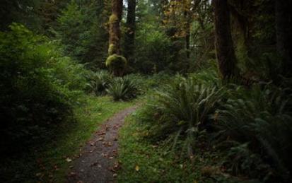 Laudato si': On Care for Our Common Home