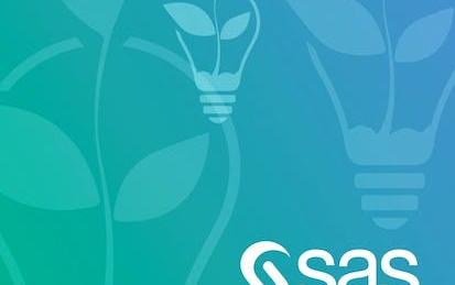 SAS Programmer