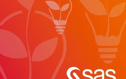 Doing More with SAS Programming