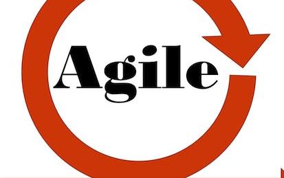 Agile Software Development