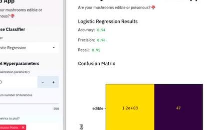 Build a Machine Learning Web App with Streamlit and Python