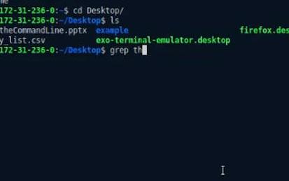 Introducción a la terminal de comandos de Linux