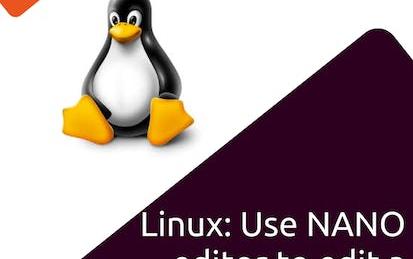 Linux: Use NANO editor to edit a Bash Script