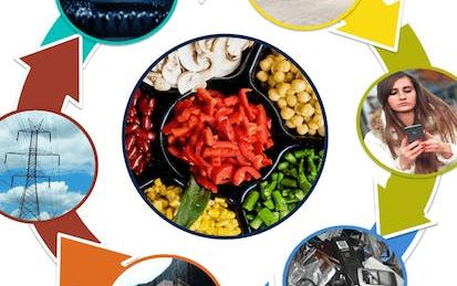Healthy and Sustainable Foods and Products