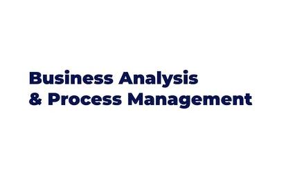 Business Analysis & Process Management
