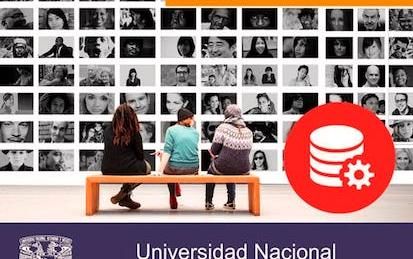 Relational database systems