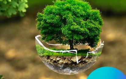 Crear contenido de conciencia ambiental con Canva