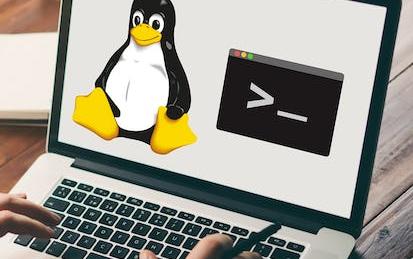 Hands-on Introduction to Linux Commands and Shell Scripting