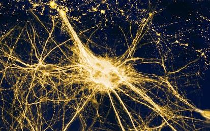 Intellectual Humility: Science