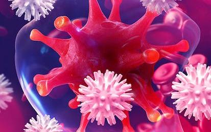 Fundamentals of Immunology: Innate Immunity and B-Cell Function