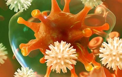 Fundamentals of Immunology: T Cells and Signaling
