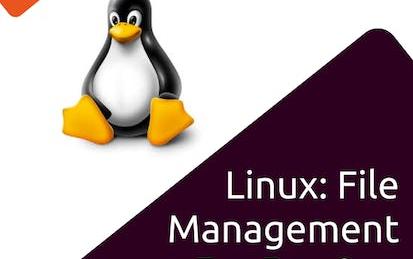 Linux: File Management for Devops