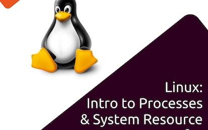 Linux: Processes & System Resource Management for DevOps