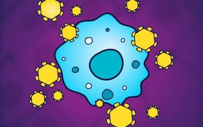 Immunology: Immune System and Infectious Diseases