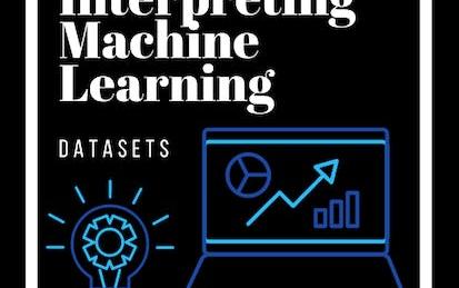 Interpreting Machine Learning datasets