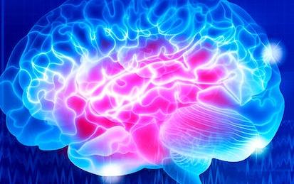 Introducción a la Neurociencia
