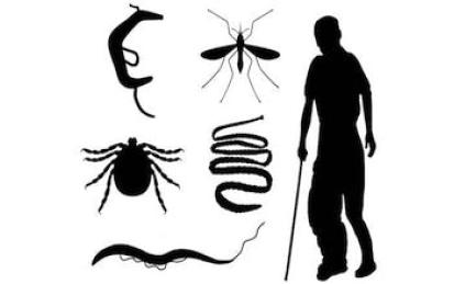 Tropical Parasitology: Protozoans, Worms, Vectors and Human Diseases