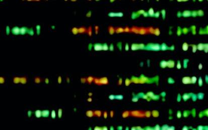 Create Your First Python Program From UST