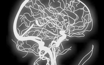 Fundamental Neuroscience for Neuroimaging