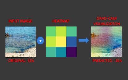 Explainable AI: Scene Classification and GradCam Visualization